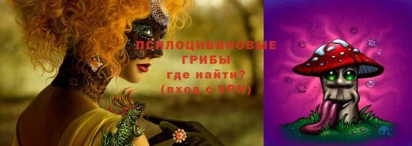 spice Абинск
