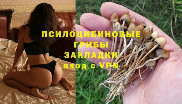 spice Абинск