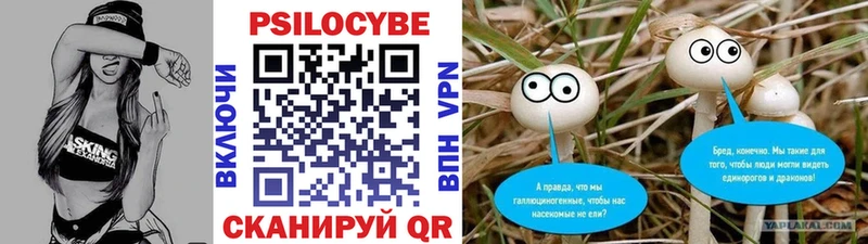Галлюциногенные грибы Magic Shrooms Торопец